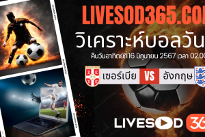 ทีเด็ดวิเคราะห์บอลประจำวันอาทิตย์ ยูโร2024 เซอร์เบีย -vs- อังกฤษ